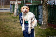 phoca_thumb_l_IMG_2876_resize