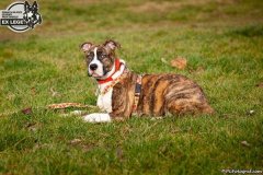 phoca_thumb_l_IMG_1315_resize