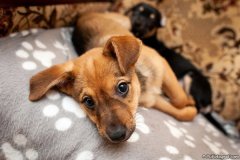 phoca_thumb_l_03_IMG_2276_resize