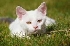 phoca_thumb_l_08_IMG_5269_resize