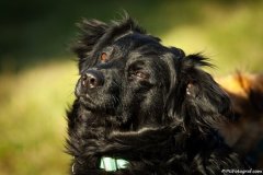 phoca_thumb_l_09_IMG_1893_resize