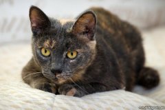 phoca_thumb_l_10_IMG_7720_resize