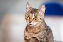 phoca_thumb_l_12_IMG_4516_resize