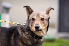 phoca_thumb_l_IMG_0352_resize
