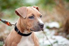 phoca_thumb_l_IMG_0470_resize