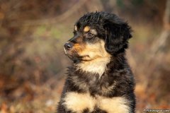 phoca_thumb_l_IMG_1599_resize