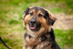 phoca_thumb_l_IMG_2758_resize