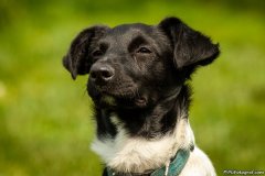 phoca_thumb_l_IMG_3269_resize