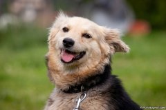 phoca_thumb_l_IMG_3759_resize
