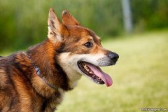 phoca_thumb_l_IMG_4048_resize