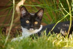 phoca_thumb_l_IMG_5289_resize