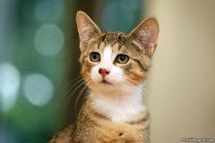 phoca_thumb_l_IMG_5309_resize