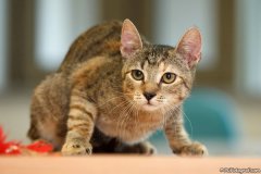 phoca_thumb_l_IMG_5378_resize