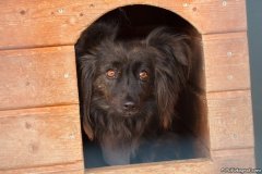 phoca_thumb_l_IMG_6958_resize