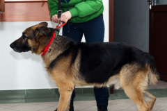 phoca_thumb_l_IMG_0012_resize