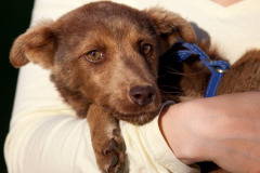 phoca_thumb_l_IMG_8467_resize