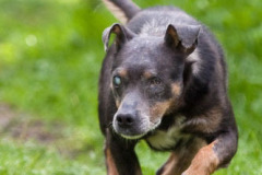phoca_thumb_l_IMG_4682_resize
