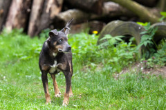 phoca_thumb_l_IMG_4719_resize