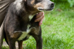 phoca_thumb_l_IMG_4737_resize
