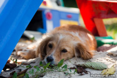 phoca_thumb_l_IMG_8188_resize