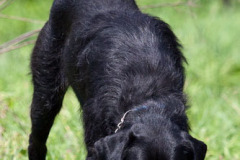 phoca_thumb_l_IMG_8213_resize