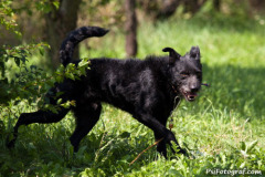 phoca_thumb_l_IMG_8239_resize