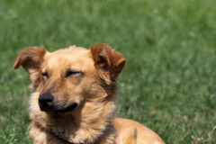 phoca_thumb_l_IMG_8314_resize