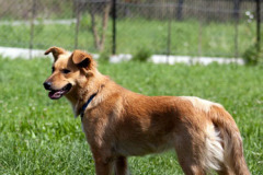 phoca_thumb_l_IMG_8347_resize