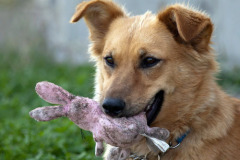 phoca_thumb_l_IMG_8363_resize