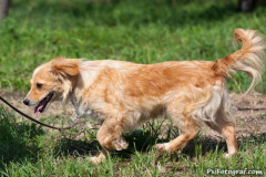 phoca_thumb_l_IMG_8409_resize