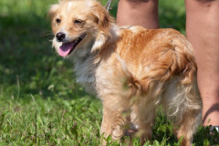 phoca_thumb_l_IMG_8418_resize