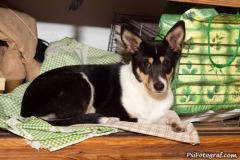 phoca_thumb_l_IMG_4346_resize