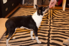 phoca_thumb_l_IMG_4351_resize