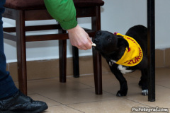 phoca_thumb_l_IMG_0002_resize