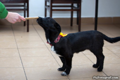 phoca_thumb_l_IMG_9992_resize