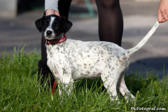 phoca_thumb_l_IMG_9455_resize