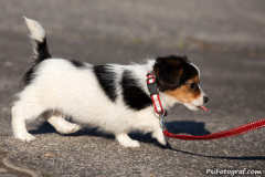 phoca_thumb_l_IMG_9481_resize