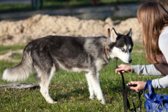phoca_thumb_l_IMG_9543_resize