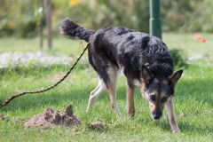 phoca_thumb_l_IMG_0366_resize
