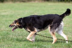 phoca_thumb_l_IMG_0393_resize