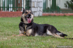phoca_thumb_l_IMG_0430_resize