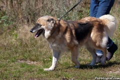 phoca_thumb_l_IMG_9111_resize