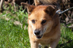 phoca_thumb_l_IMG_9122_resize