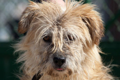 phoca_thumb_l_IMG_9132_resize