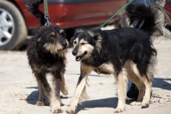 phoca_thumb_l_IMG_9147_resize