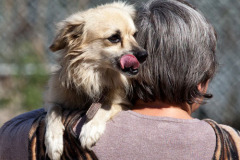 phoca_thumb_l_IMG_9213_resize