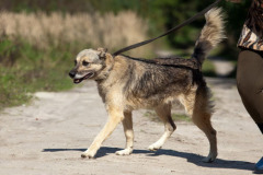 phoca_thumb_l_IMG_9229_resize