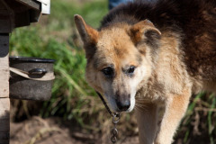 phoca_thumb_l_IMG_9286_resize