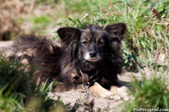 phoca_thumb_l_IMG_9291_resize