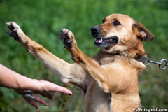 phoca_thumb_l_IMG_9306_resize